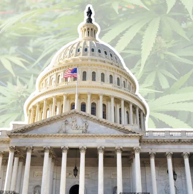 Capital with hemp leaves behind