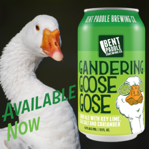 Gandering Goose Gose